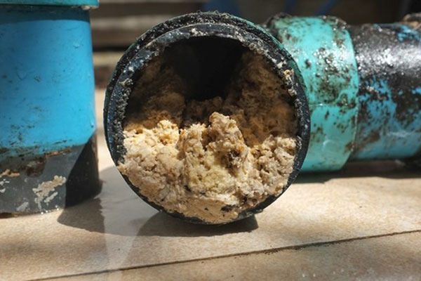 Plumbing and construction services, clogged drain repair in Broward Florida